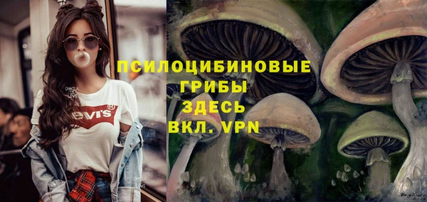 кокаин премиум Богданович
