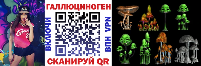 Псилоцибиновые грибы Psilocybine cubensis  Губкинский 