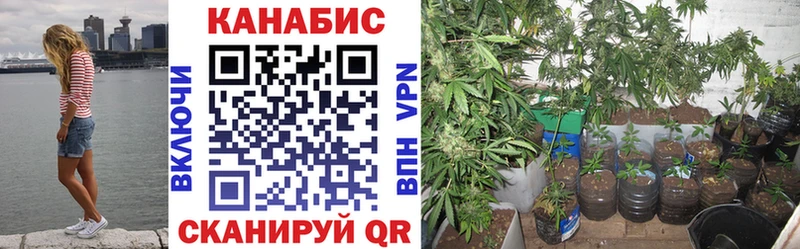 Марихуана VHQ  Губкинский 